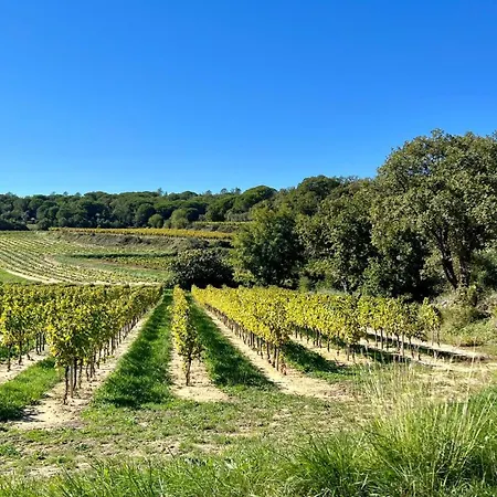Domaine La Petite Blanchardiere, 2 Avec Piscine Au Coeur Des Vignes A Casa de Férias Sabran